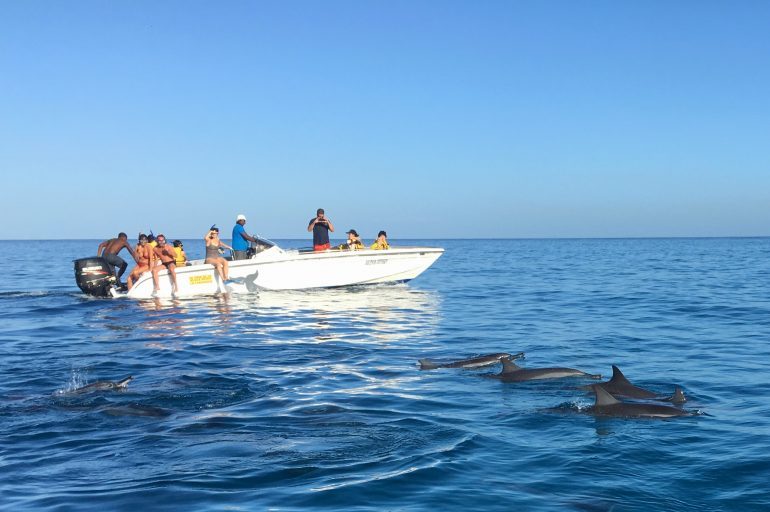 Swim with Dolphins in Mauritius (West Coast) TRAVELHUB