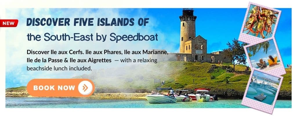 Discover five Islands of the South‑East by Speedboat (1) 5 Islands Speedboat Tour in the South East Mauritius